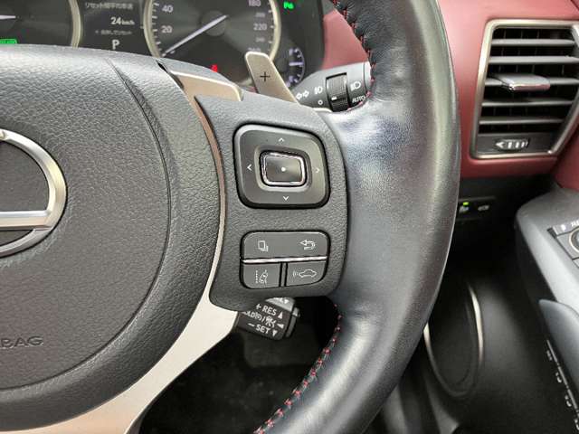 レクサス ＮＸ３００ｈ スパイス＆シック R3年 (関東) 99