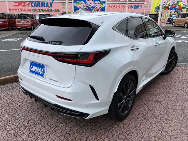 レクサス ＮＸ３５０ｈ Ｆスポーツ R5年 (関東) 99