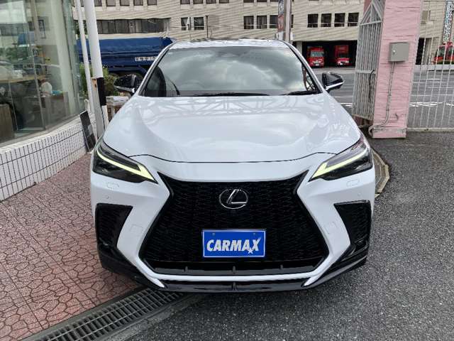 レクサス ＮＸ３５０ｈ Ｆスポーツ R5年 (関東) 99