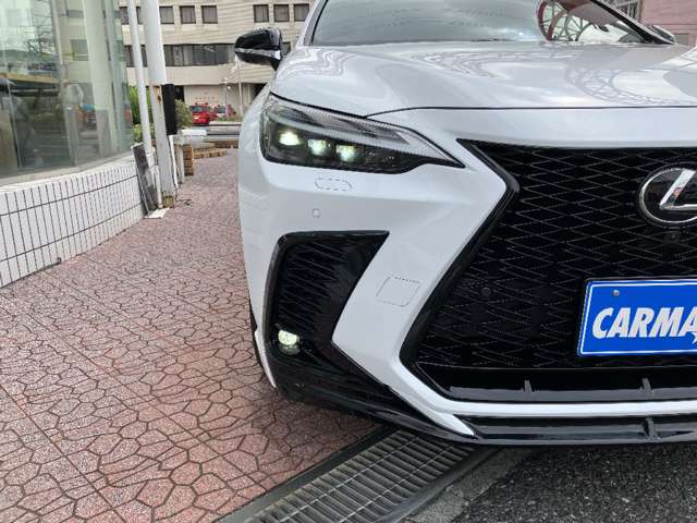 レクサス ＮＸ３５０ｈ Ｆスポーツ R5年 (関東) 99