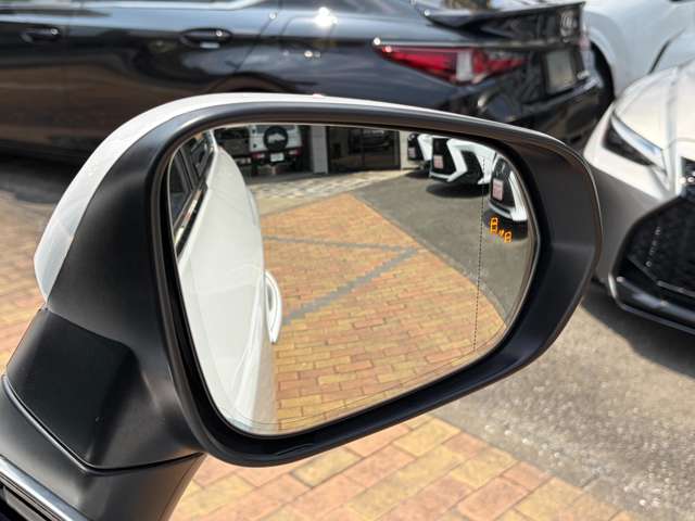レクサス ＮＸ３００ｈ バージョンＬ R1年 (九州・沖縄) 99