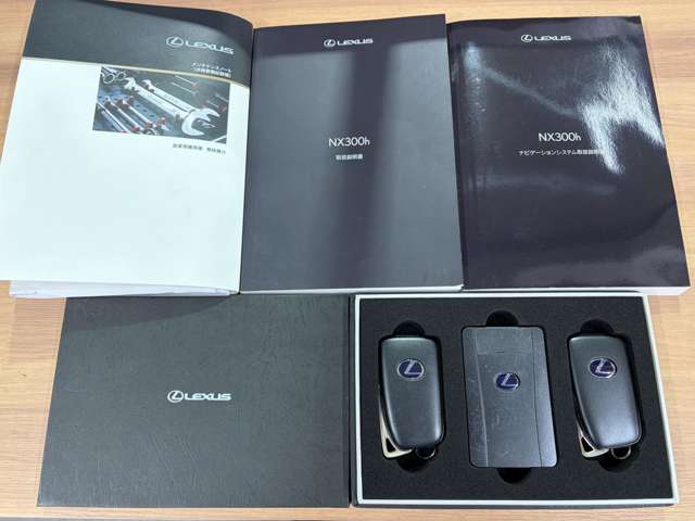 レクサス ＮＸ３００ｈ バージョンＬ R1年 (九州・沖縄) 99