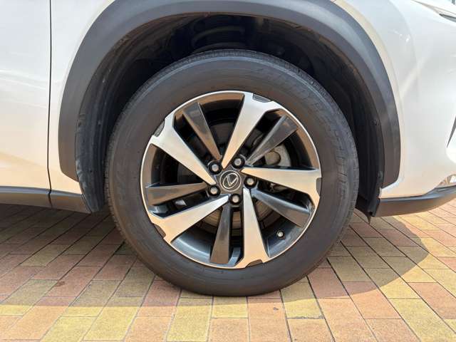 レクサス ＮＸ３００ｈ バージョンＬ R1年 (九州・沖縄) 99