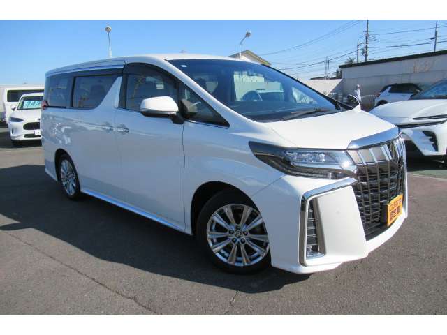 トヨタ アルファード ２．５ Ｓ タイプゴールド R2年 (関東) 99