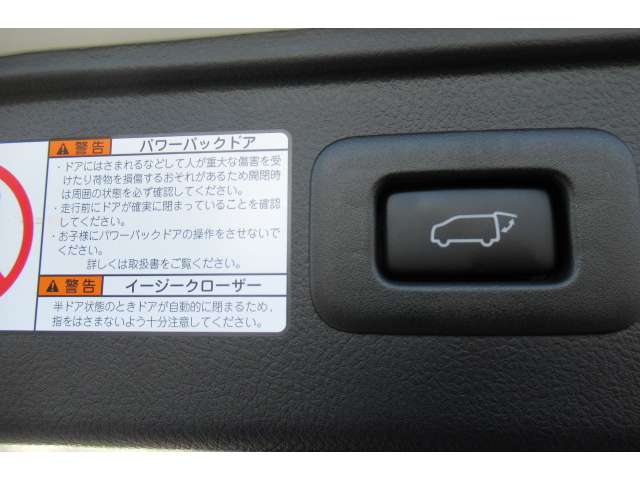 トヨタ アルファード ２．５ Ｓ タイプゴールド R2年 (関東) 99