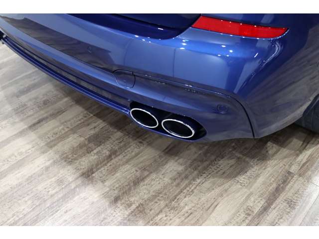 ＢＭＷアルピナ ＸＤ３ アルラット ４ＷＤ R2年 (関東) 99