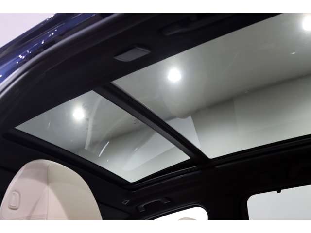 ＢＭＷアルピナ ＸＤ３ アルラット ４ＷＤ R2年 (関東) 99