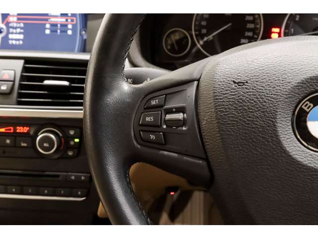 ＢＭＷ Ｘ３ Ｘドライブ２８Ｉ ４ＷＤ H24年 (関東) 99