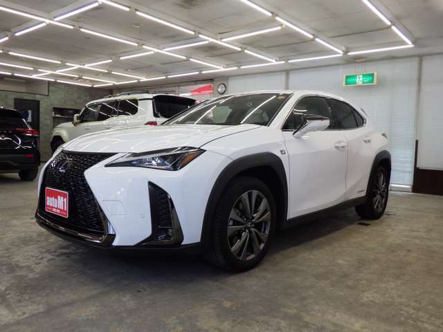 レクサス ＵＸ２５０ｈ ２５０Ｈ Ｆスポーツ ４ＷＤ R1年 (東北) 99
