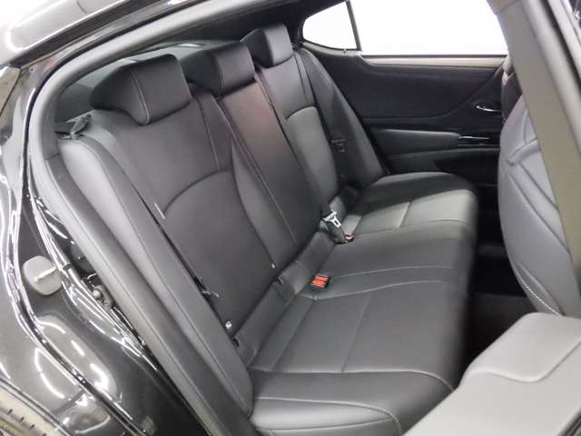レクサス ＥＳ３００ｈ Ｆスポーツ R5年 (東北) 99