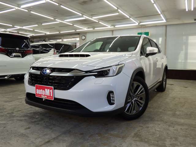 スバル レヴォーグ　レイバック １．８ リミテッド ＥＸ ４ＷＤ R6年 (東北) 99