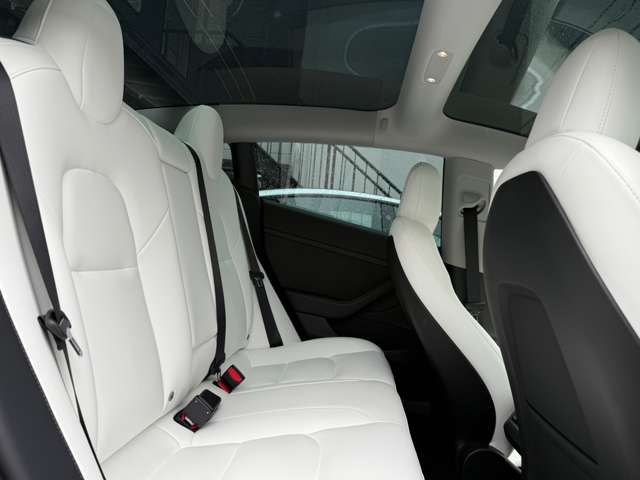 テスラ モデル３ ロングレンジ ＡＷＤ 白内装 R3年 (東海) 99