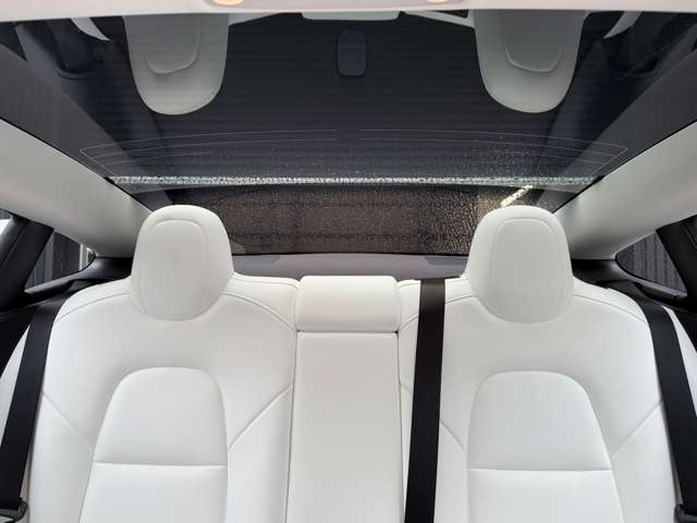 テスラ モデル３ ロングレンジ ＡＷＤ 白内装 R3年 (東海) 99