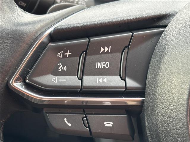 マツダ デミオ １．５ ＸＤ ツーリング ディーゼルターボ H29年 (東海) 99