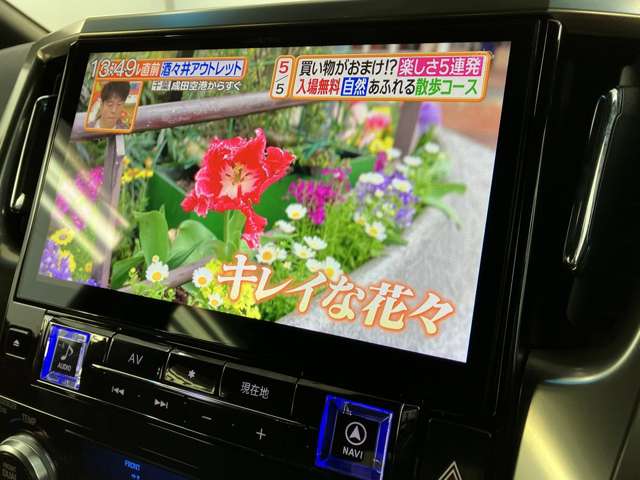トヨタ アルファード ２．５ Ｓ タイプゴールドＩＩ ４ＷＤ R3年 (東北) 99