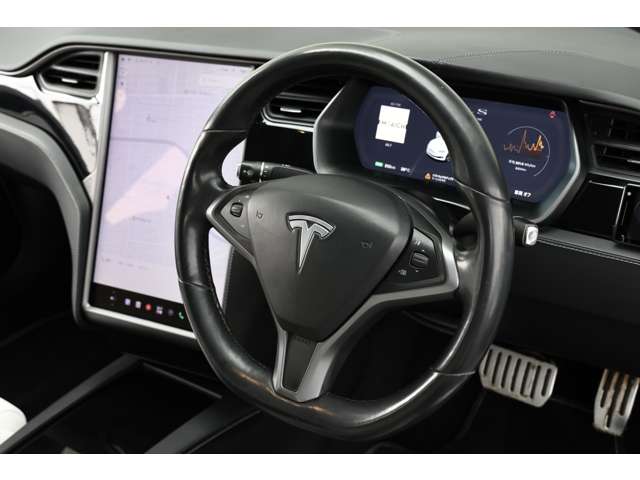 テスラ モデルＳ パフォーマンス R2年 (東海) 99