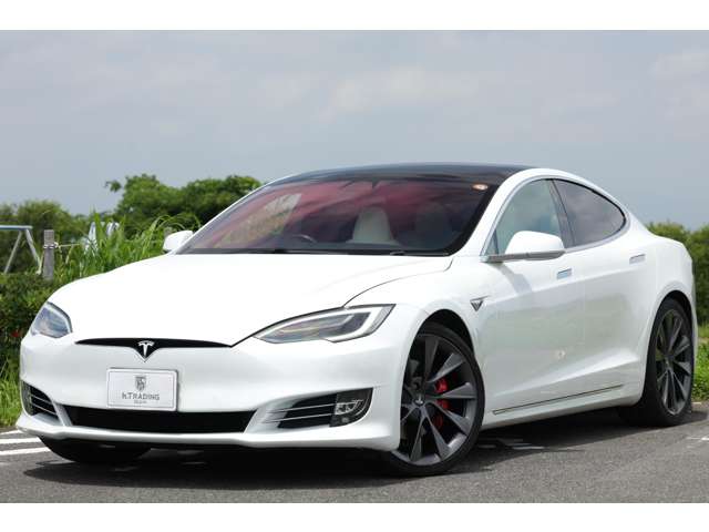 テスラ モデルＳ パフォーマンス R2年 (東海) 99