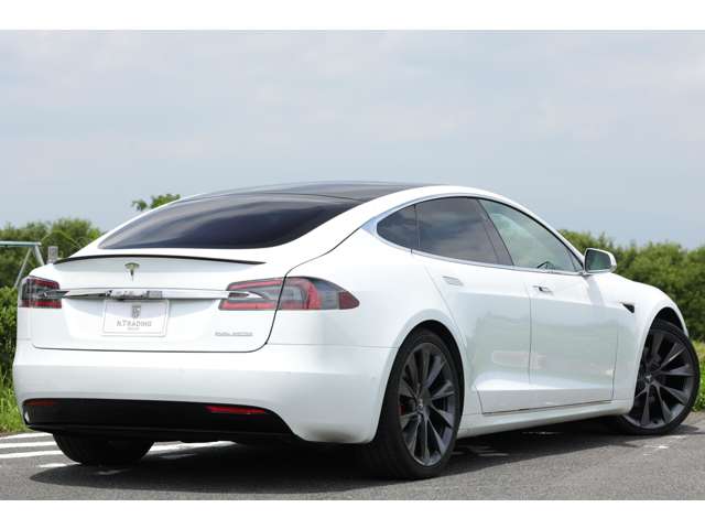 テスラ モデルＳ パフォーマンス R2年 (東海) 99
