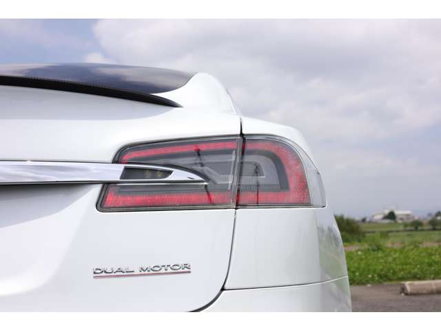 テスラ モデルＳ パフォーマンス R2年 (東海) 99