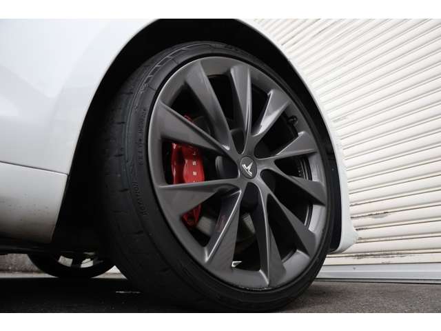 テスラ モデルＳ パフォーマンス R2年 (東海) 99