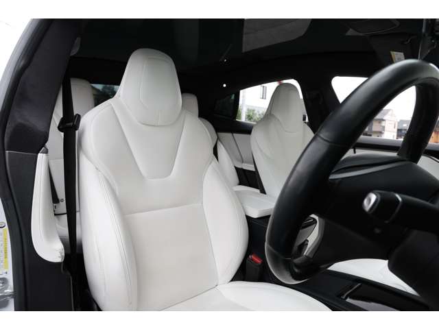 テスラ モデルＳ パフォーマンス R2年 (東海) 99