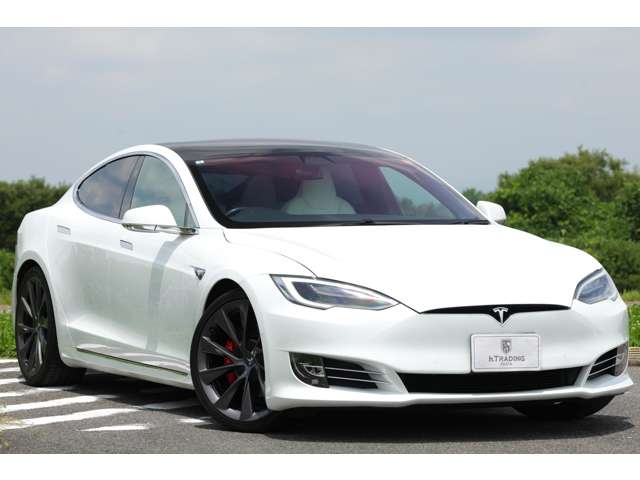 テスラ モデルＳ パフォーマンス R2年 (東海) 99