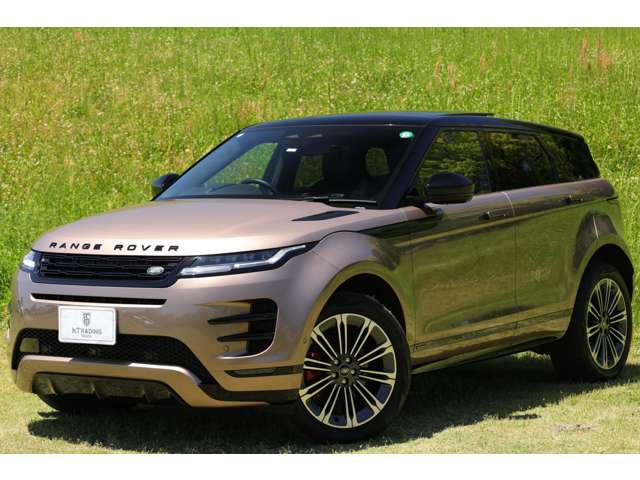 ランドローバー レンジローバーイヴォーク オートバイオグラフィ ２．０Ｌ Ｐ２５０ ４ＷＤ R6年 (東海) 99