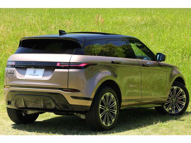 ランドローバー レンジローバーイヴォーク オートバイオグラフィ ２．０Ｌ Ｐ２５０ ４ＷＤ R6年 (東海) 99