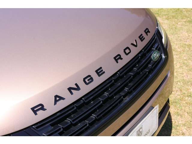 ランドローバー レンジローバーイヴォーク オートバイオグラフィ ２．０Ｌ Ｐ２５０ ４ＷＤ R6年 (東海) 99