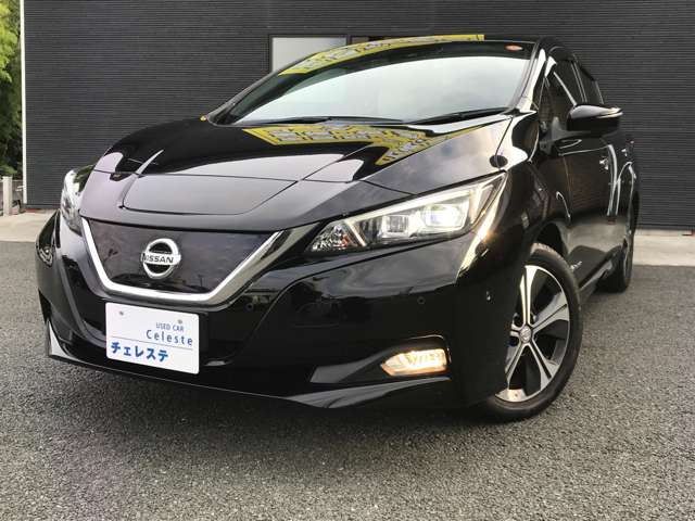 日産 リーフ Ｇ H30年 (九州・沖縄) 99