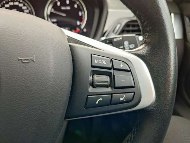 ＢＭＷ Ｘ１ Ｘドライブ １８Ｄ Ｘライン ４ＷＤ H30年 (関東) 99