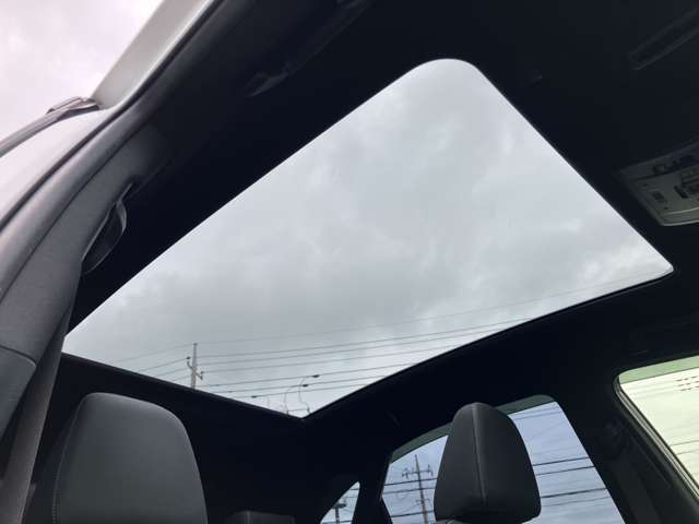 レクサス ＮＸ３００ｈ Ｆスポーツ R2年 (関東) 99