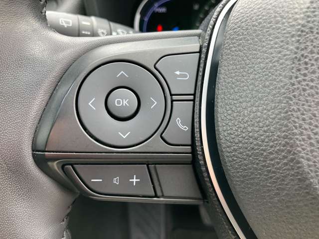 トヨタ ＲＡＶ４ ２．５ ハイブリッド Ｇ Ｅ－ＦＯＵＲ ４ＷＤ R2年 (関東) 99