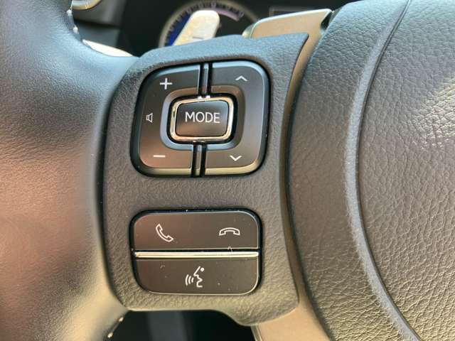レクサス ＮＸ３００ｈ スパイス＆シック R3年 (関東) 99