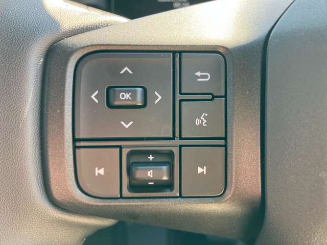 トヨタ ＲＡＶ４ ２．５ アドベンチャー Ｅ－ＦＯＵＲ ４ＷＤ R8年 (関東) 99