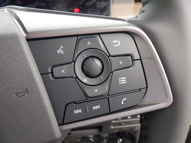 三菱 デリカ　ミニ ６６０ Ｔ プレミアム R8年 (東海) 99