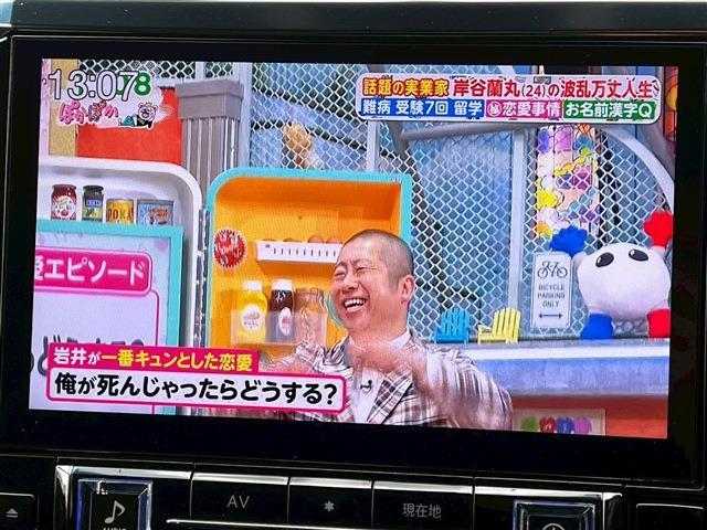 トヨタ ヴェルファイア ２．５ Ｚ Ａエディション ゴールデンアイズ H29年 (九州・沖縄) 99