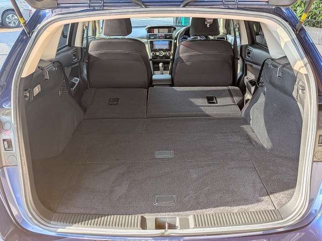 スバル レヴォーグ １．６ ＧＴ アイサイト Ｓスタイル ４ＷＤ H28年 (関東) 99