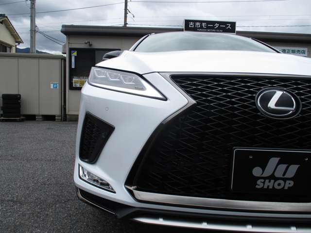 レクサス ＲＸ３００ Ｆスポーツ R4年 (中国) 99