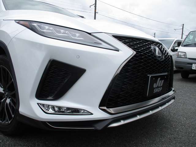 レクサス ＲＸ３００ Ｆスポーツ R4年 (中国) 99