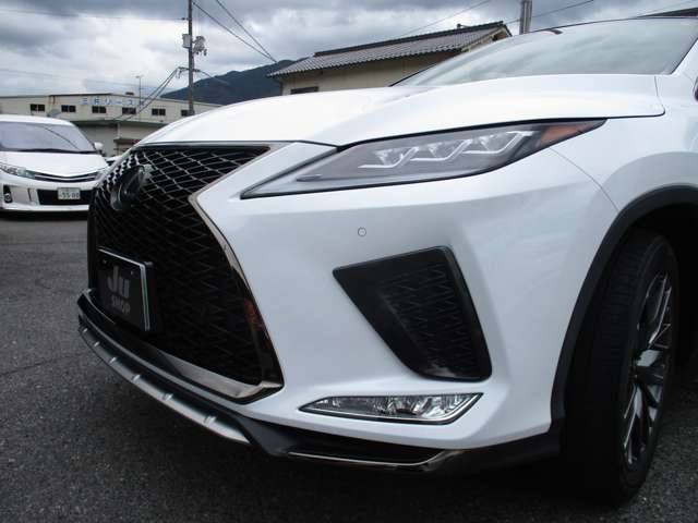 レクサス ＲＸ３００ Ｆスポーツ R4年 (中国) 99
