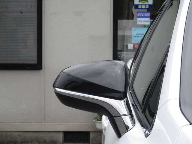 レクサス ＲＸ３００ Ｆスポーツ R4年 (中国) 99