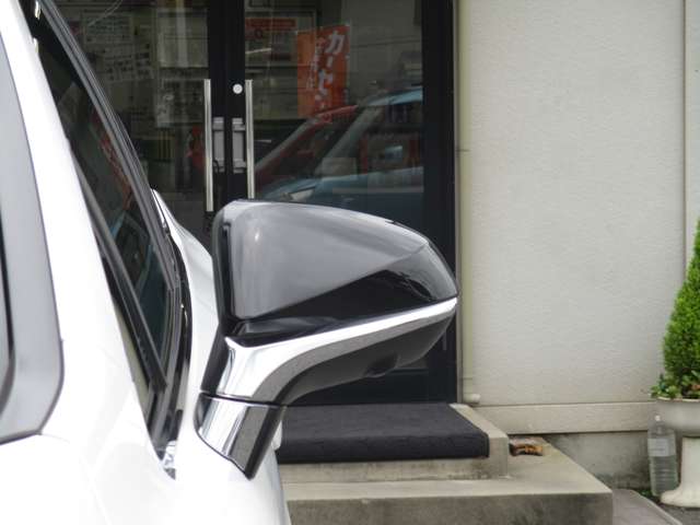 レクサス ＲＸ３００ Ｆスポーツ R4年 (中国) 99
