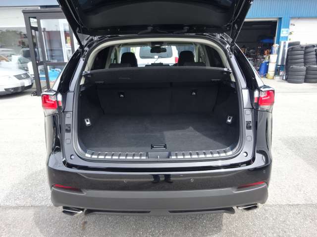 レクサス ＮＸ２００ｔ ２００Ｔ ４ＷＤ H27年 (甲信越・北陸) 99