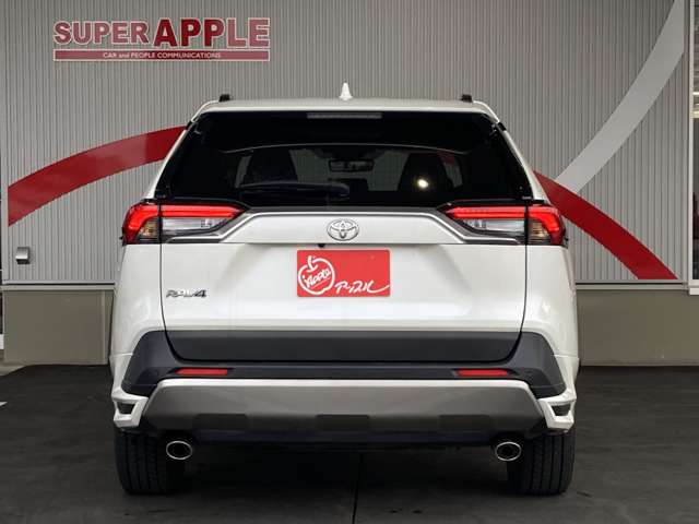 トヨタ ＲＡＶ４ ２．０ Ｇ Ｚパッケージ ４ＷＤ R4年 (東北) 99