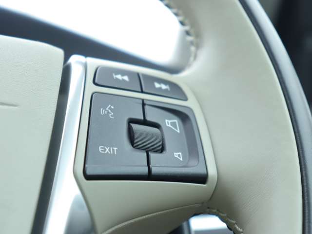 ボルボ Ｖ４０ Ｄ４ インスクリプション ディーゼルターボ H28年 (関東) 99