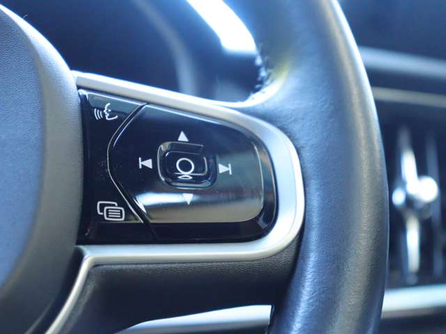 ボルボ Ｖ９０ Ｄ４ モメンタム ディーゼルターボ R2年 (関東) 99