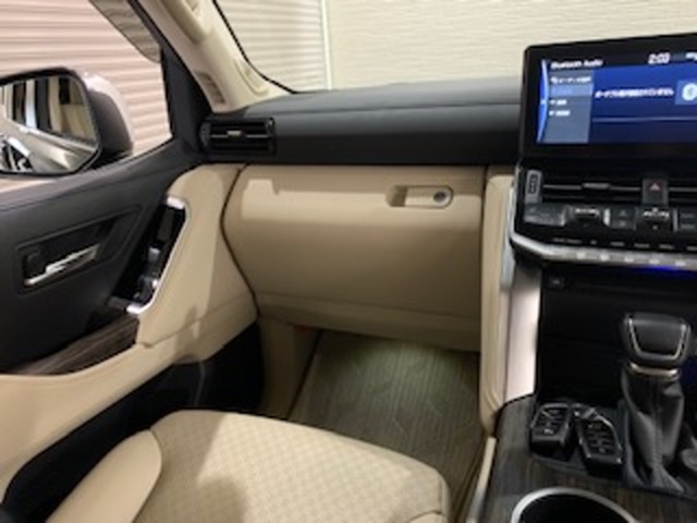 トヨタ ランドクルーザー ３．３ ＺＸ ディーゼルターボ ４ＷＤ R4年 (中国) 99