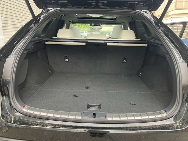 レクサス ＲＸ３５０ ３５０ Ｆスポーツ ４ＷＤ R7年 (近畿) 99