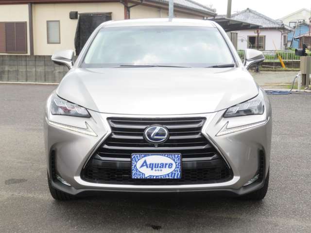 レクサス ＮＸ３００ｈ バージョンＬ H27年 (九州・沖縄) 99